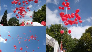 sybitie-za-deca-world-heart-8