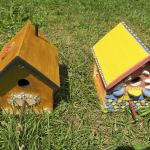 Scalefocus Build me a Home Teambuilding (206)